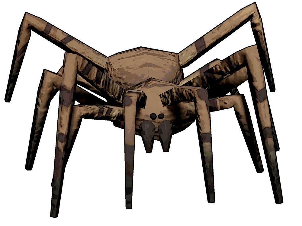 Bunker spider